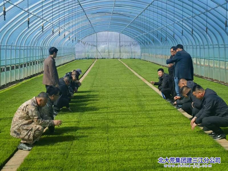 九區(qū)大棚.jpg