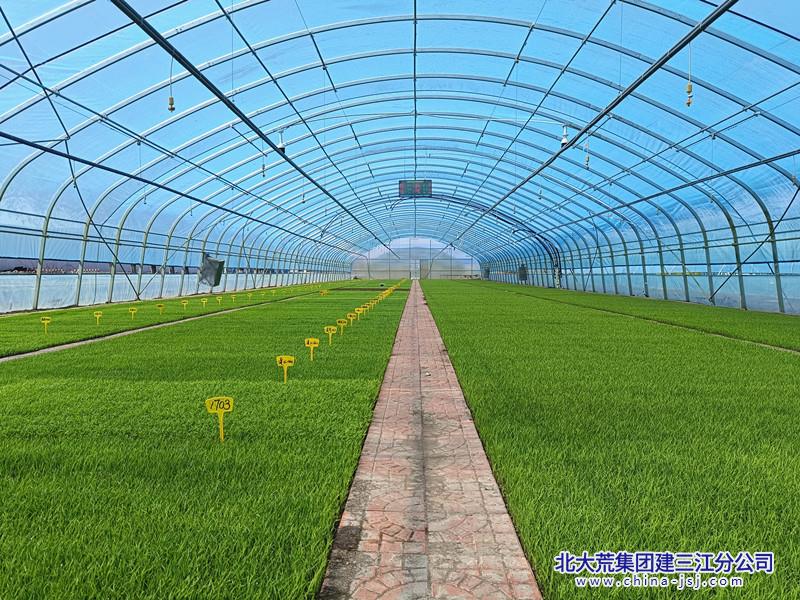03e01bb3b98c55f8f4c0fd35035230e_副本.jpg