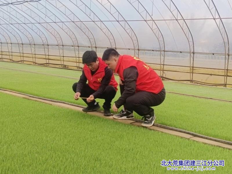 黨員秧苗管理.jpg