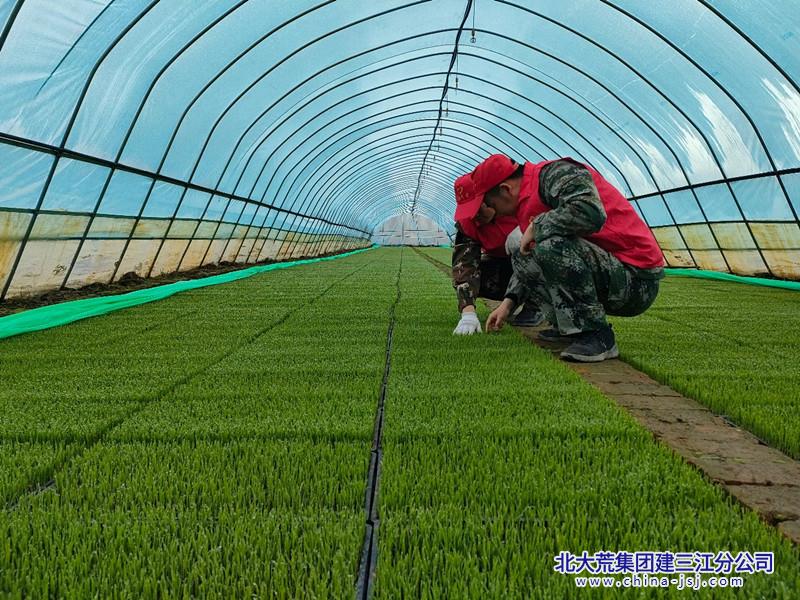 2_副本.jpg