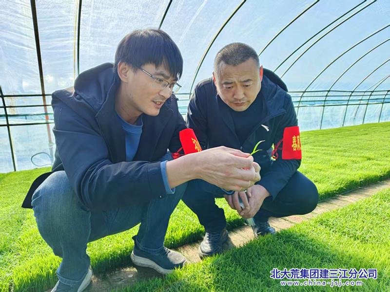 bf5774e4daf22a366c1ac1e5c907f4b_副本.jpg