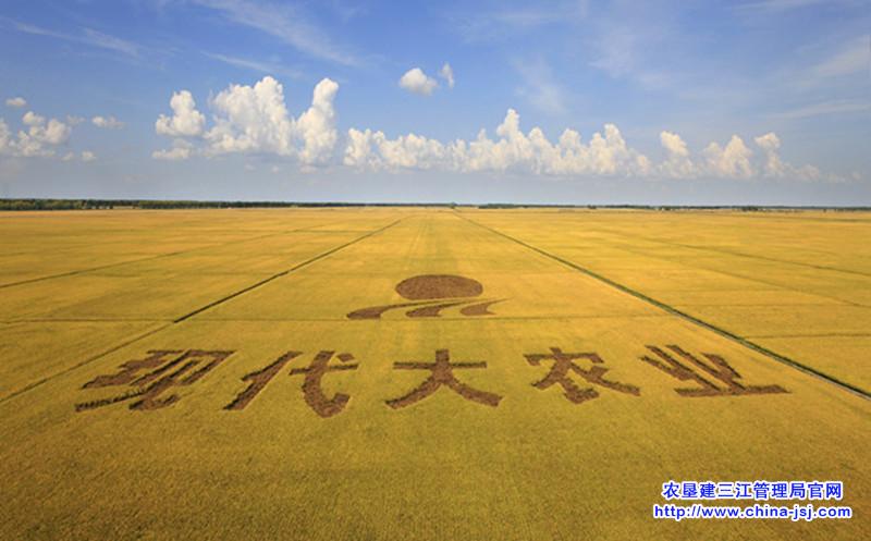 北大荒現(xiàn)代化大農(nóng)業(yè)--王毅.jpg